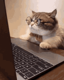 cat-hiss.gif