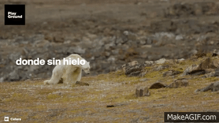 UsG-Dj.gif
