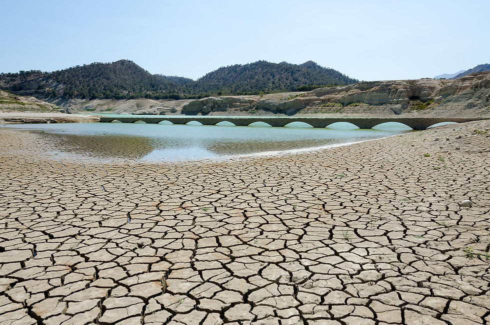 Pérdida o disminución de recursos naturales