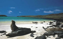 parque_nacional_galapagos_VI141976_MG8960603