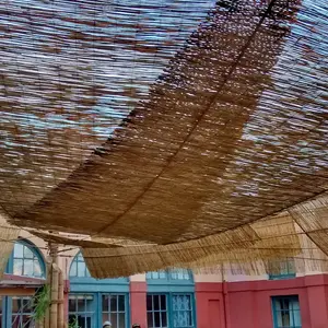 Community Sukkah