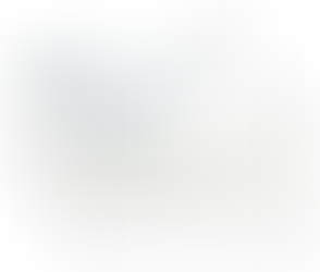 What if your report could be generated with just one button ?