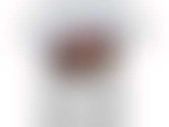 American Lip Print Leopard 4th Of July T-shirt