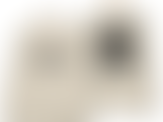 Noah Kahan Stick Season 2023 Tour Shirt, Pop Music Tour Tee