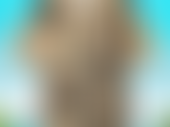 4th Of July US Veteran Honor The Fallen Hawaiian Shirt