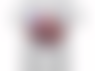 Gnome 4th Of July T-shirt Gifts