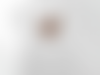 Baseball Mom Leopard  Essential T-Shirt