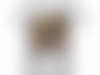 Ain’t No Doubt I Love This Land Funny T-shirt