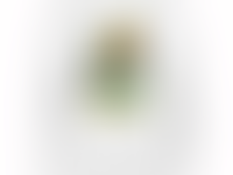 Aaron Rodgers NFL Packers T-Shirt