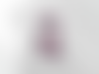 Idaho Baseball Mom T-Shirt