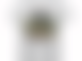 Oh My Stars America Wings Tee