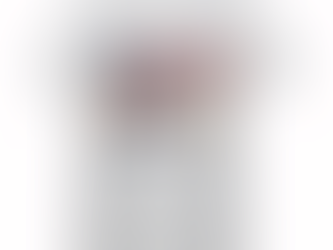 American Papa With Gnome Women 4th Of July T-shirt