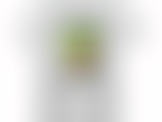 Baby Yoda Daddy Star Wars Shirt