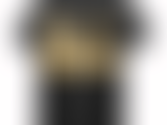 The DogFather Dog Dad T-Shirt