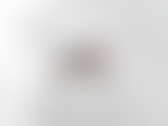 Baseball mom with baseball animal print T-Shirt