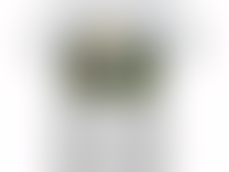 Ain’t No Doubt I Love This Land 4th Of July T-shirt