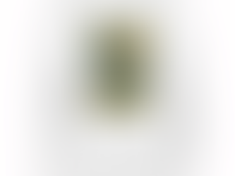 Aaron Rodgers Green Bay Packers T-Shirt