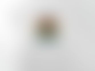 part time social worker full time cat mom Shirts