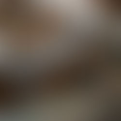 New Study Finds Blue Whale Hybrids in the Atlantic Ocean