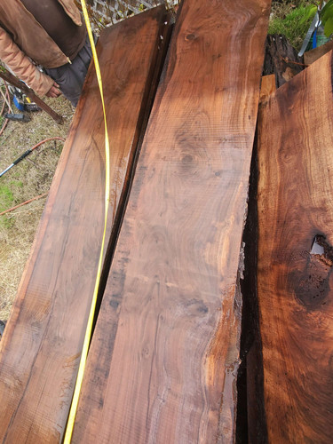 Suelo De Madera De Nogal Negro - Tablas De Ingeniería De 14mm, 15cm De Ancho, Acabado Lacado Brillante, ¡para Suelo Radiante!