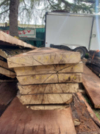 Black Walnut