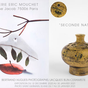 "seconde nature" Galerie Eric Mouchet décembre 2020
