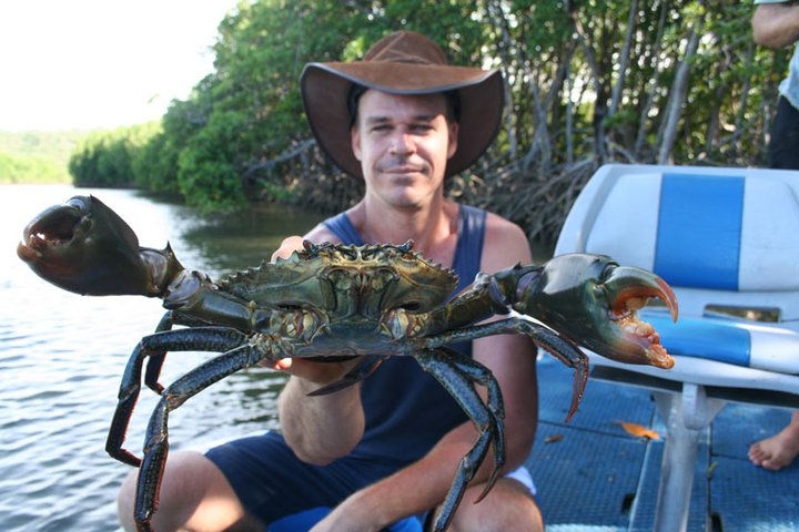 Reel River Fishing Charter Weipa