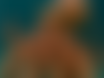 Orange octopus with curled tentacles swims underwater against a blue background, displaying its textured skin and vibrant coloration.