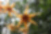 CA4D13E7-53EB-4729-AAFA-74C06B9A1B07_1_105_c.jpeg