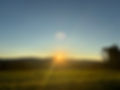 IMG_7733.jpeg