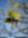 2D7682F7-4E67-482F-BCF2-AF7B0E5C82AA_edited.jpg