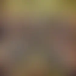 A Call for Hope and Curiosity