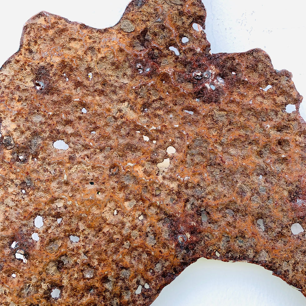 Miniatura: Isla Formentera IO5113