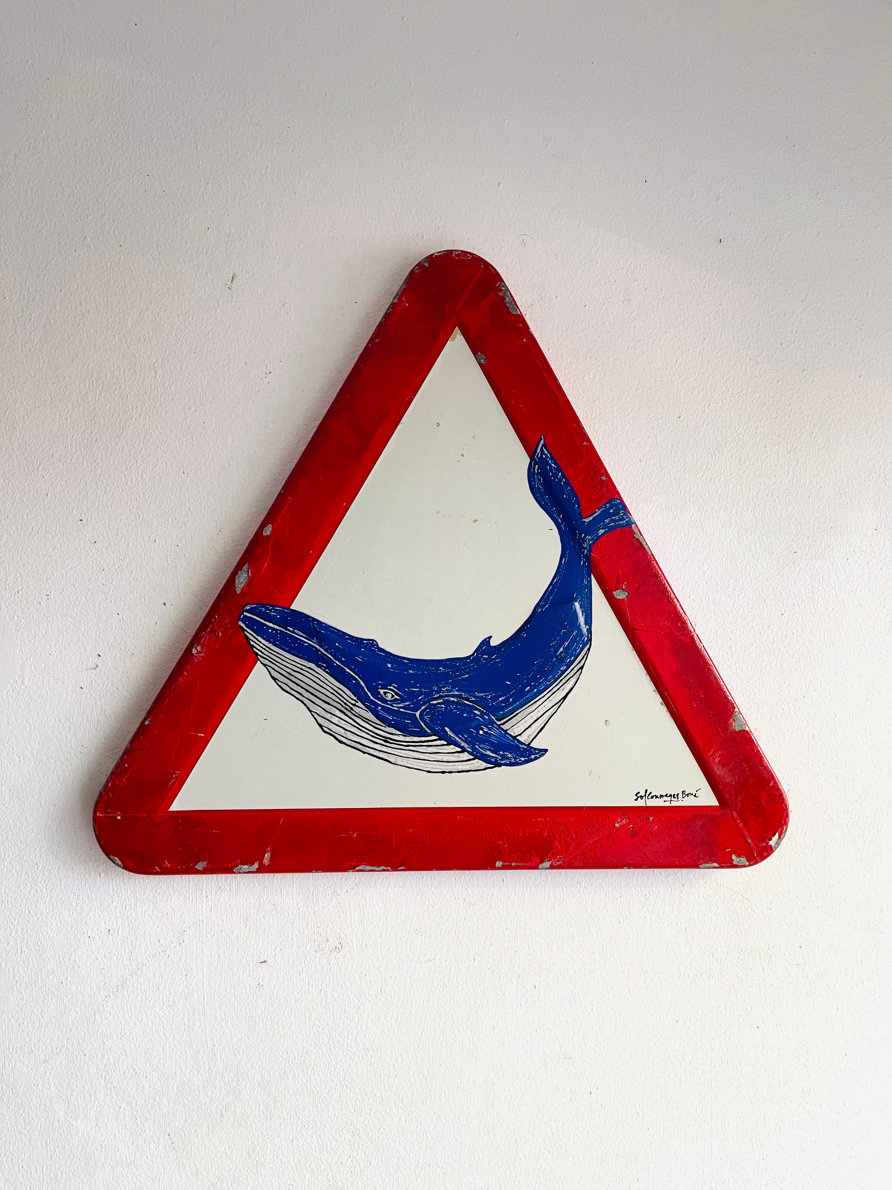 Señal Cachalote SEÑ4221