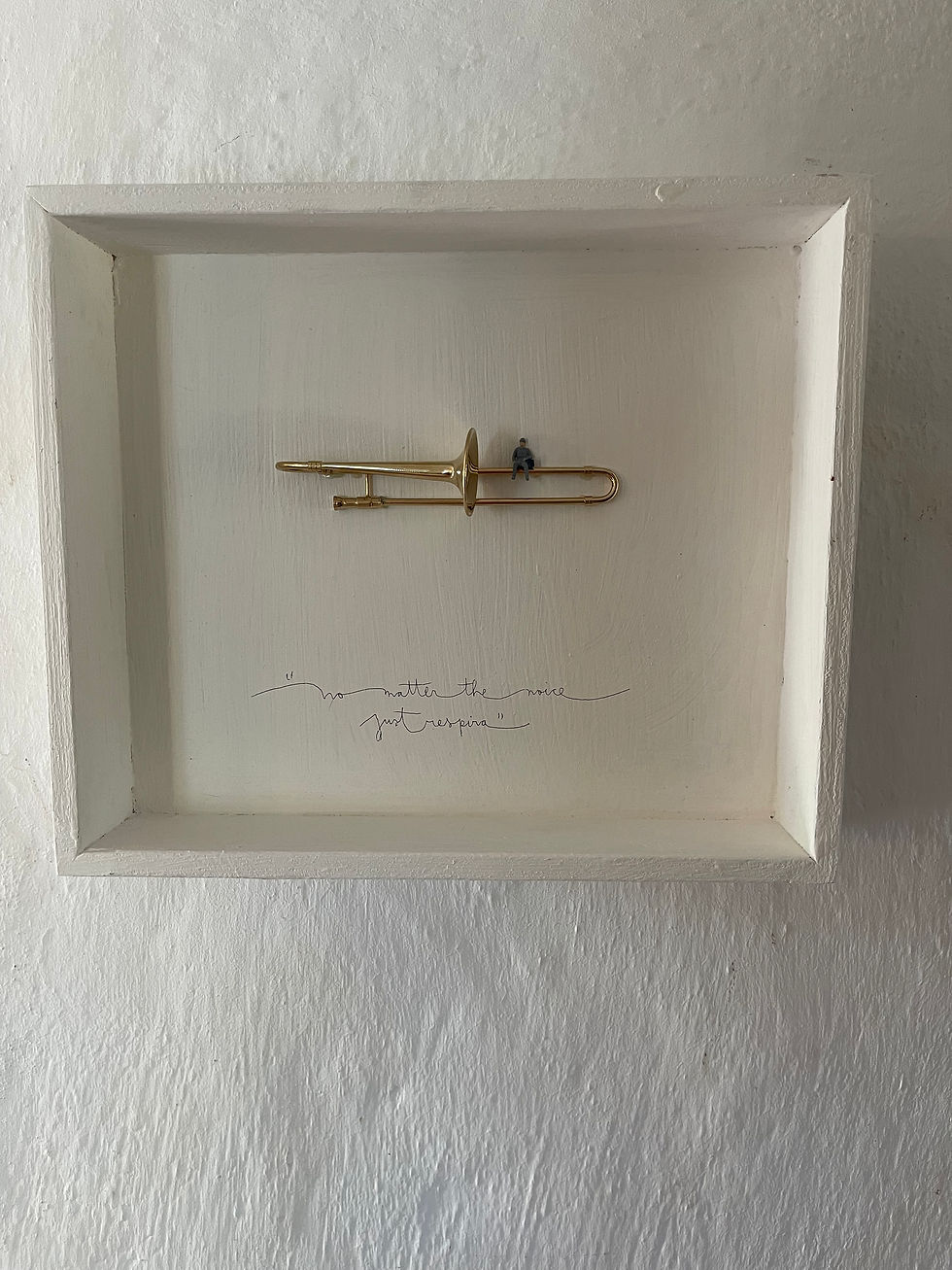 Cajita expo instrumento EX 2524