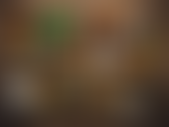 THC Education: Dive into Marijuana with CannaClass Wellness Guide