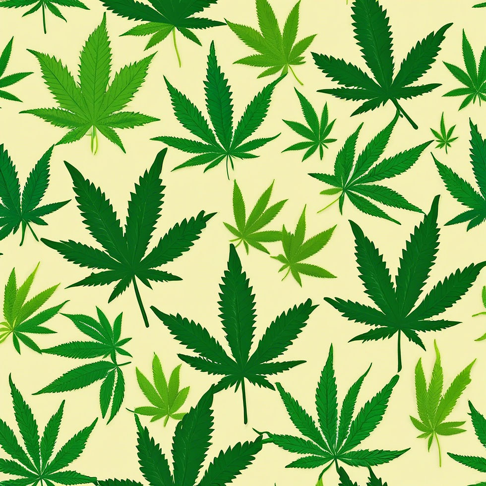 marijuana leaves.jpg