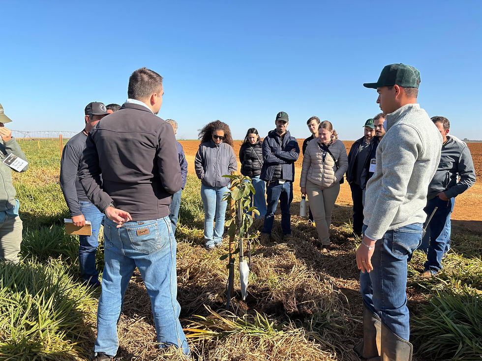 WhatsApp Image 2025-08-04 at 12.00.33