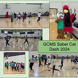 Saber Cat Dash pictures.png