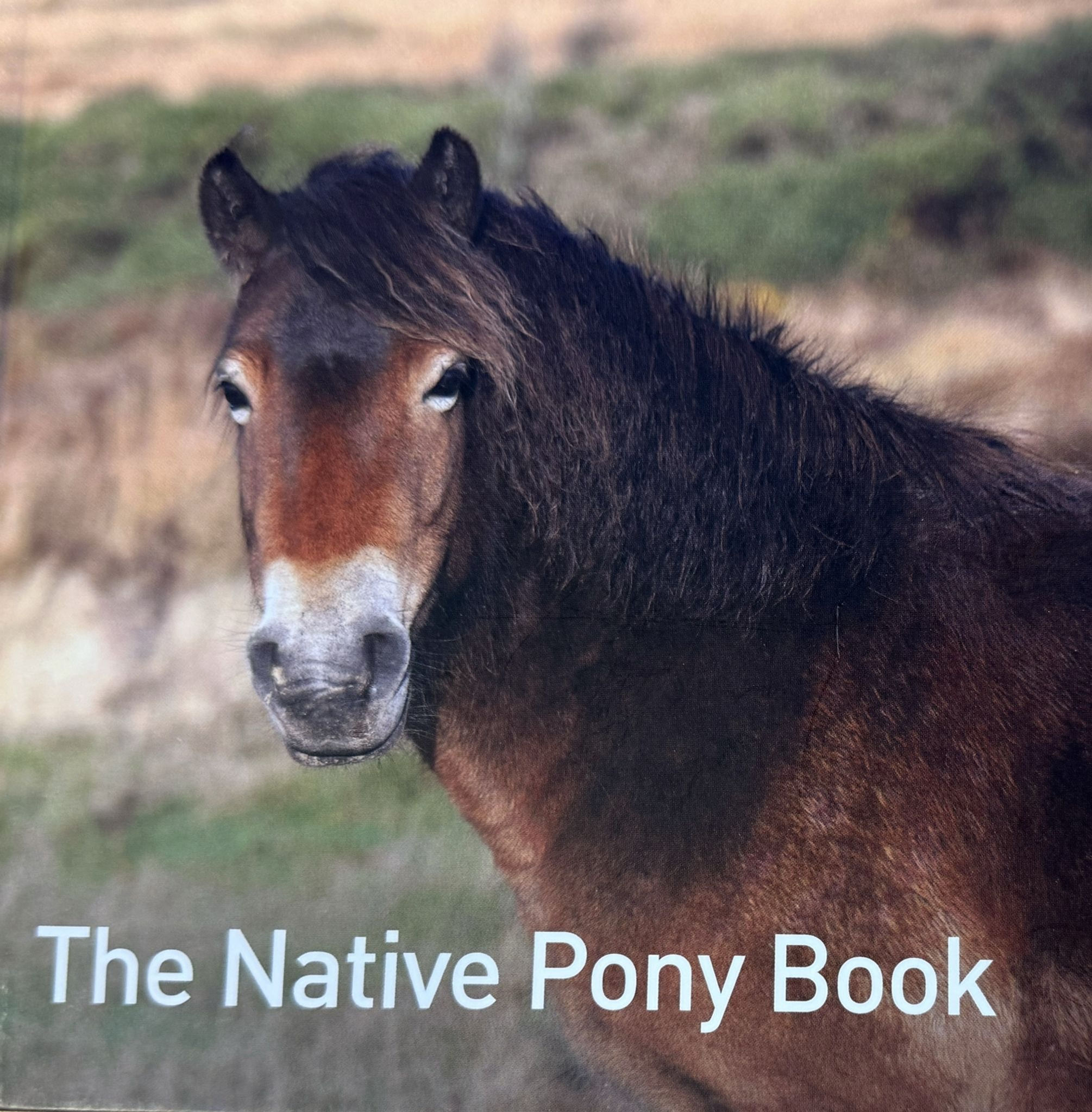 The Native Pony Book