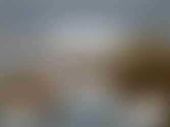 DOENÇAS RENAIS EM CÃES E GATOS DIMINUA O RISCO AGUA ORTOMOLECULAR MAGNETLIFE