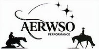Logo AERWSO 2026_edited.jpg
