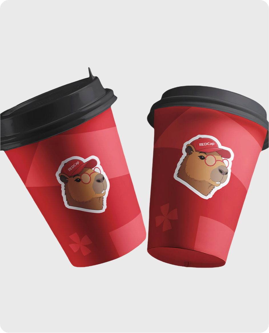 container5.png