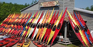 kayaks-lined-up-b.jpg