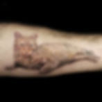 Tattoo gato Realista