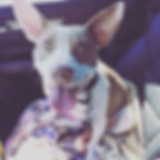 HUMPHREY