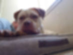 BENNY