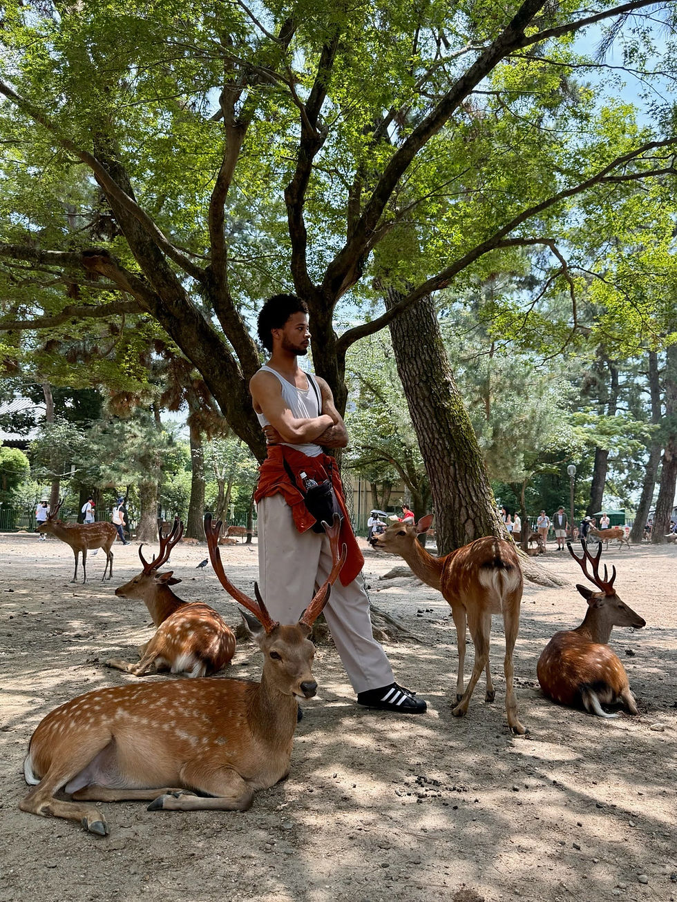 Man standing in a park among relaxed deer under a large tree, wearing casual attire. The scene feels peaceful and serene.
