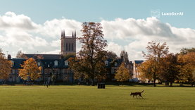 Dog walks across sunny park lawn with autumn trees, row houses and church tower under cloudy blue sky; LANDSKYAI logo.