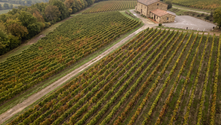 Aerial view over rows of autumn vineyard vines toward a stone winery and tasting room under soft overcast light